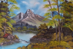 OLYMPUS DIGITAL CAMERA