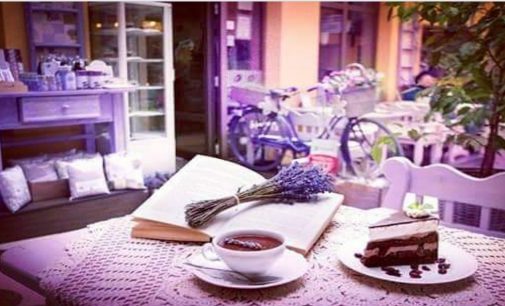 Levanduľové kráľovstvo  Lavender v Bratisleve končí