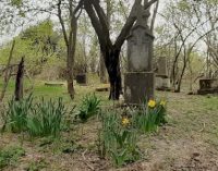 Šamorín: V Bučuháze môže vzniknúť prírodný cintorín