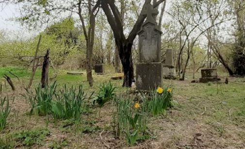 Šamorín: V Bučuháze môže vzniknúť prírodný cintorín