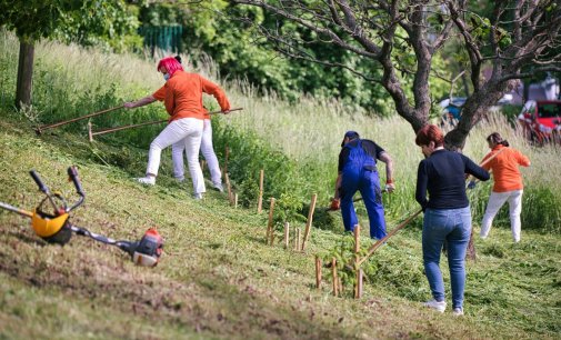 Do čistenia Prešova sa zatiaľ zapojilo takmer 1000 dobrovoľníkov